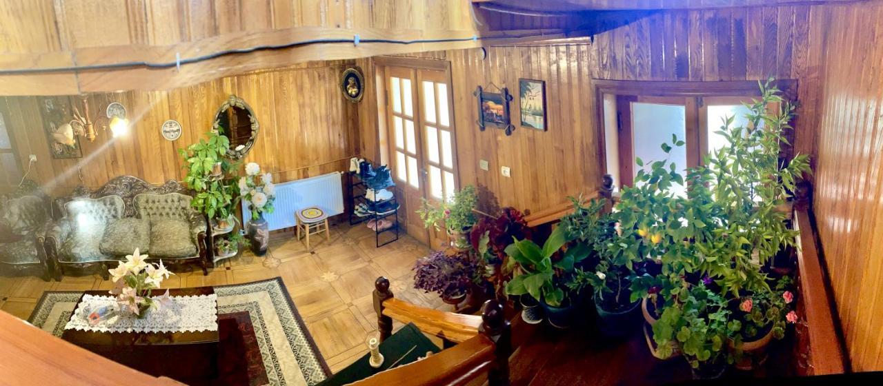 Guesthouse Georgia Sagarejo Екстериор снимка
