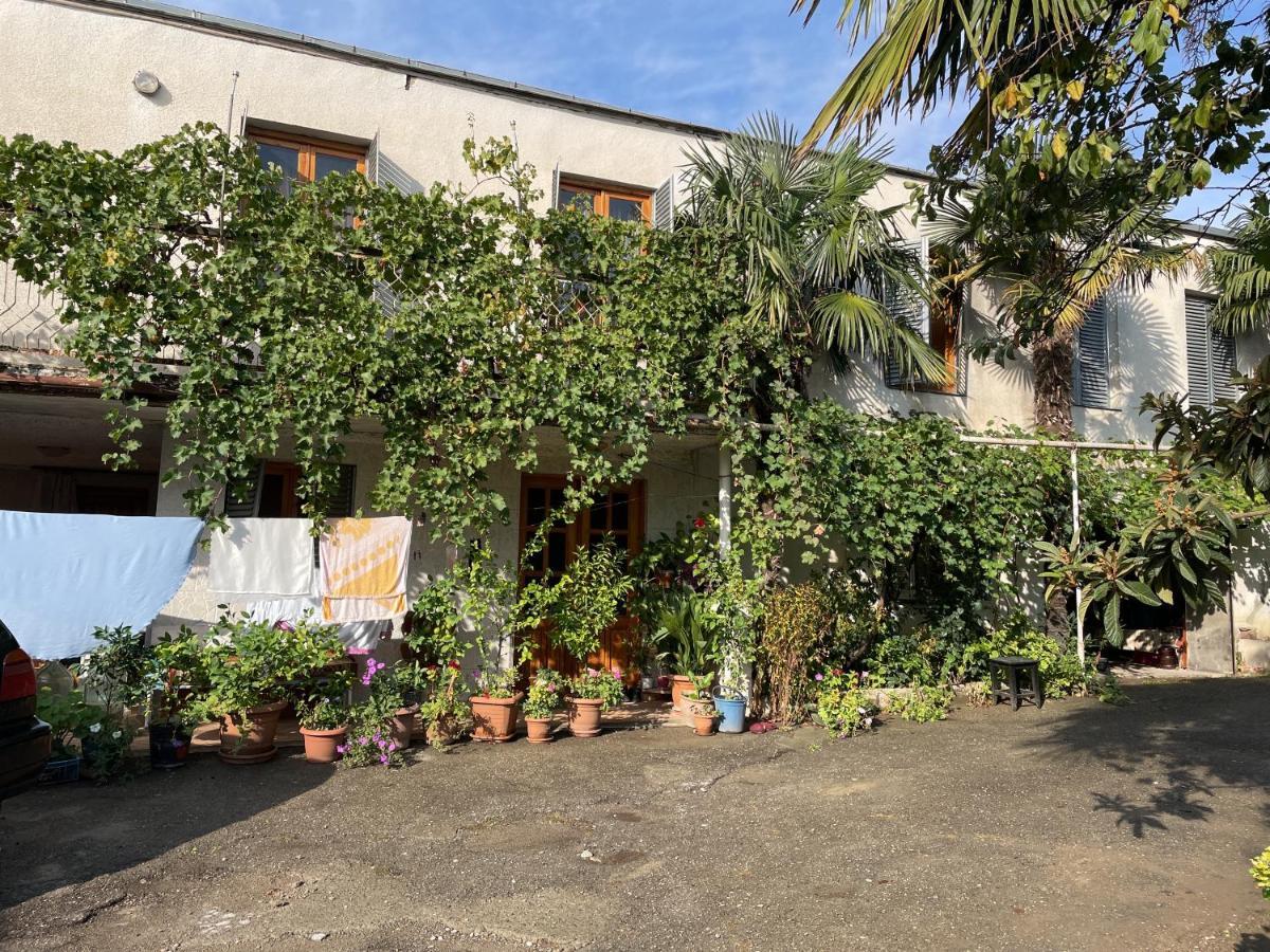 Guesthouse Georgia Sagarejo Екстериор снимка