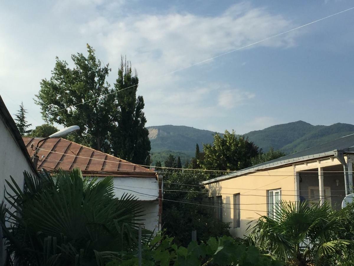 Guesthouse Georgia Sagarejo Екстериор снимка